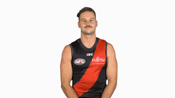 essendonfc patrick dons bombers essendon GIF