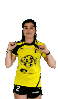 HVGeelZwart handbal geelzwart geel-zwart hvgeelzwart Sticker