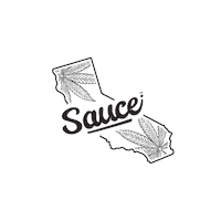 sauceessentials arizona sauce saucey sauceessentials Sticker