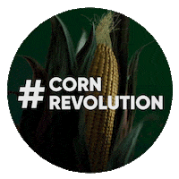Plant Grow Sticker by Corteva US
