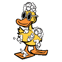 Car Wash Duck Sticker by Quick Quack