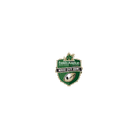 MUSICCITYBOWL  Sticker
