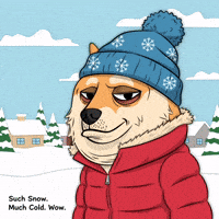 South Park Wow GIF by Doge Pound