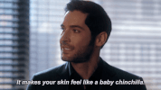 chinchilla feeling GIF by Lucifer