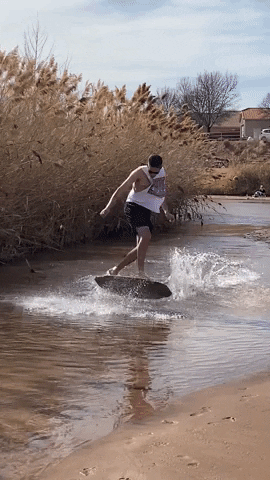 NewEverything giphyupload GIF
