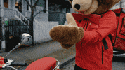 Lets Go Bear GIF by Kraft PB