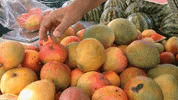 Costa Rica Hand GIF by jorgemariozuleta