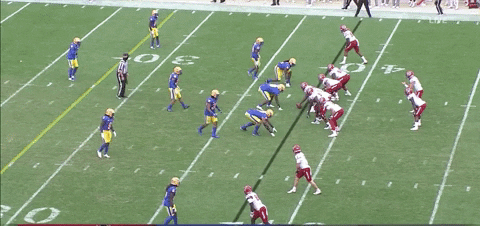 therealessad giphygifgrabber ncstate GIF