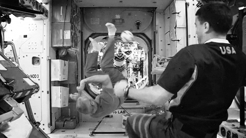 fifa world cup football GIF by Okkult Motion Pictures