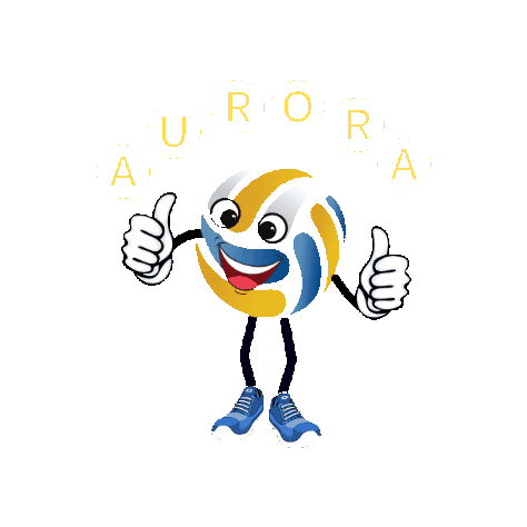 Sport Play Sticker by Aurora Beach Volleyball