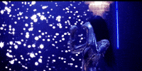 versace on the floor GIF by Bruno Mars