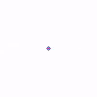 World Cup Football GIF by Panini America
