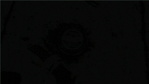 giphy.gif