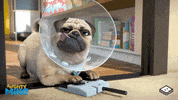 boomerangtoons happy funny fun cute GIF