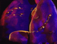 Stop-Motion Hello GIF by Fire Mountain Productions