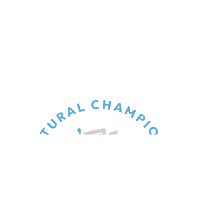 Flag Champion Sticker by Teakoe Tea