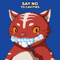 Cat Love GIF by Kitaro World