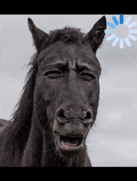 Horse GIF