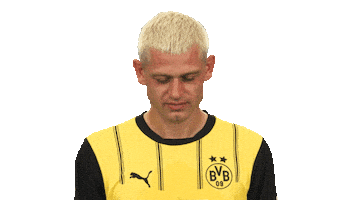 Look Up Borussia Dortmund Sticker by Bundesliga