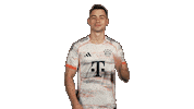 Fc Bayern Football Sticker by Bundesliga