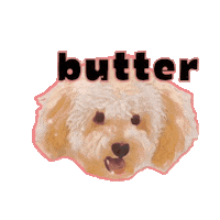 Dog Pet Sticker