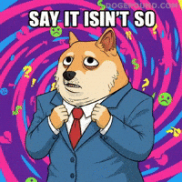 Oh No Omg GIF by Doge Pound