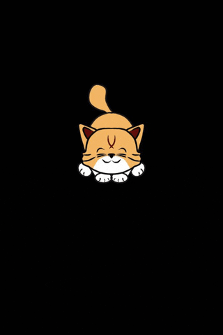 Cat Pet GIF by Kočičí Veličenstvo