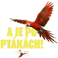 Barbora Poláková Nečekané Léto Sticker by falconfilmovenovinky