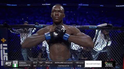Sport GIF by UFC