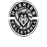 Bounce Bouncing Sticker by SVHU Volleyball
