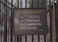 rebel GIF