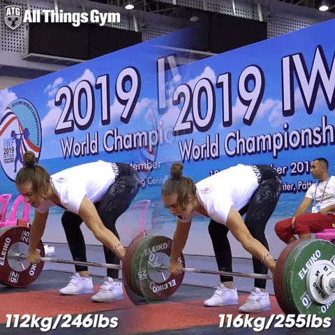 gregorwinter giphygifmaker snatch GIF