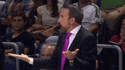 liga endesa what GIF by ACB