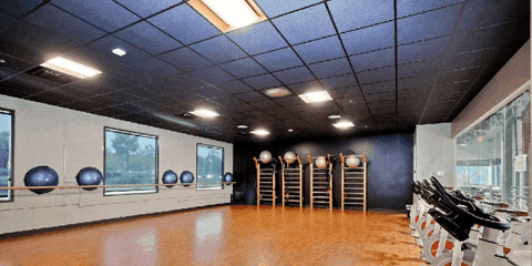 Teqneeq giphygifmaker giphyattribution GIF