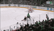 FOXSportsSW celebration celebrate goal hockey GIF