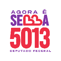 raphaelsebbaa lula Df eleicoes deputado federal Sticker