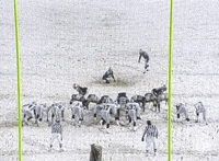 new england patriots football GIF by NFL