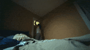 GIF by Domani