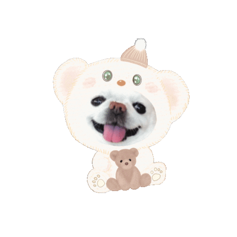 Bear くま Sticker