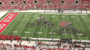 ncaa sports GIF by Ohio State Athletics
