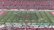 GIF by tbdbitl