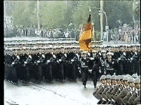 military GIF