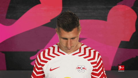 Posing Line Up GIF by Bundesliga