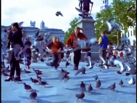 hanson GIF