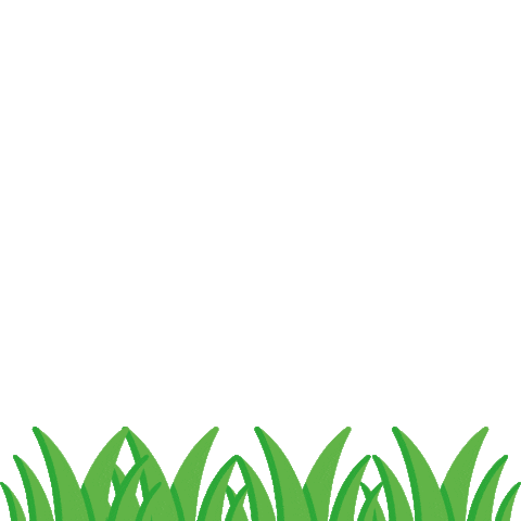 Grass Quiztime Sticker by Freiraumplanung Sigmund
