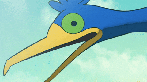 Bird Staring GIF by Pokémon