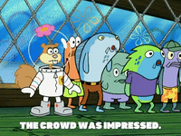 season 5 GIF by SpongeBob SquarePants