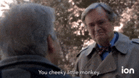 You Cheeky Little Monkey
