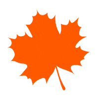 Fall Autumn Sticker by SUN Education Group