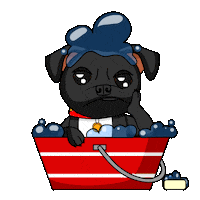 Staffordshire Bull Terrier Staffy Sticker by SBT1935